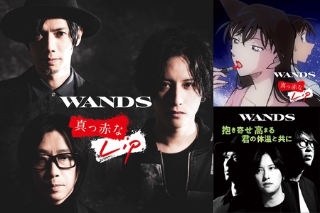 wands カバー