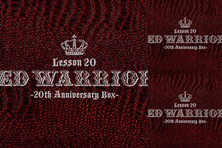 美品◎RED WARRIORS 20th Anniversary Box ミュージック RED WARRIORS 20th Anniversary box LESSON 1 (Lesson 20