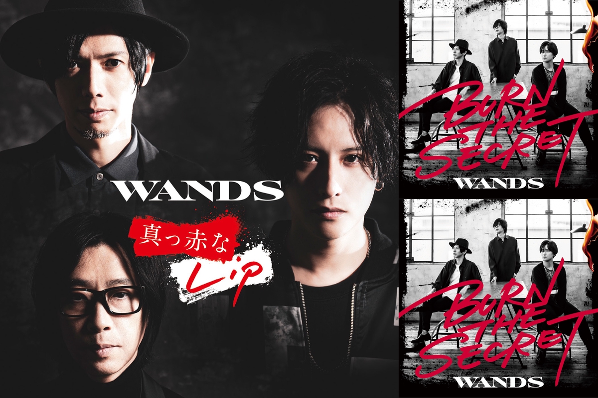 Amazon.com: WANDS Live Tour 2022 ~FIRST ACT 5th period~ [Blu