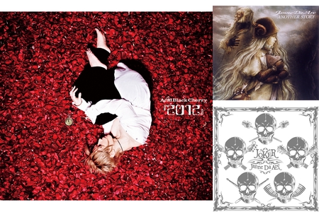 ゆ。　Acid Black Cherry&amp;Janne Da Arc Janne Da Arc #Janne Da Arc#Acid Black Cherry#yasu | TikTok