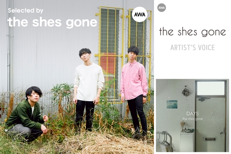 The Shes Gone アルバム トラック情報 Awa