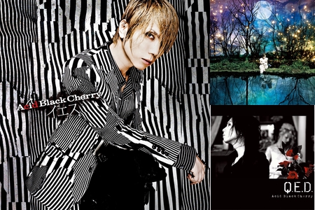 Acid Black Cherry Live 2012” by Kensimaru with.K-Side Blue