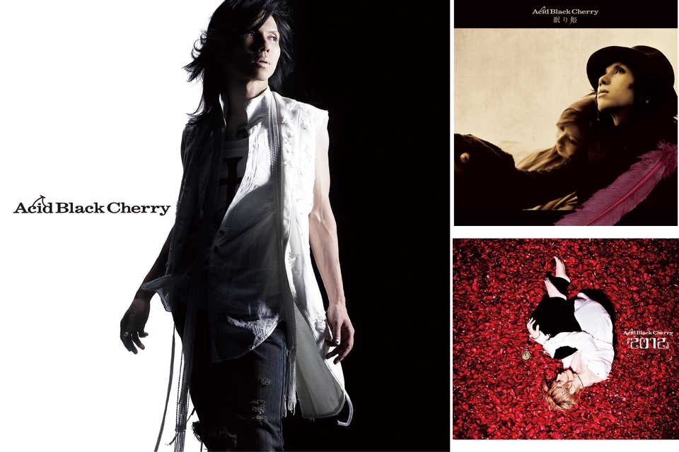 Acid Black Cherry By Toki プレイリスト情報 Awa