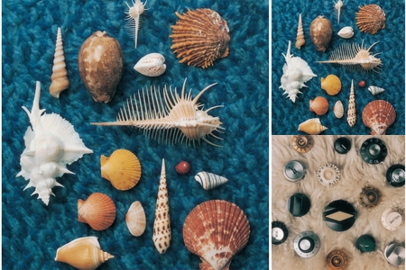 スピッツ グッとくる うた By Mariel プレイリスト情報 Awa