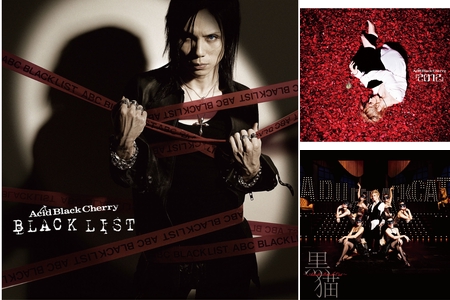 ほ*様 【本日処分】Acid Black Cherry セットアップ ほ*様 【本日処分】Acid Black Cherry セットアップ