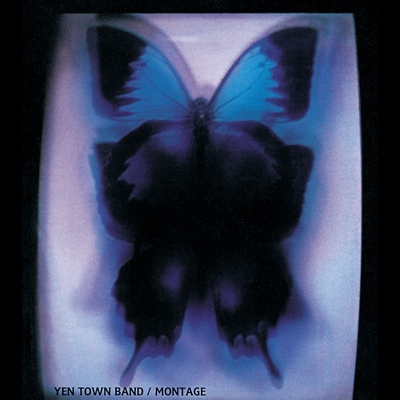 Amazon.co.jp: Swallowtail Butterfly～あいのうた/Mamas