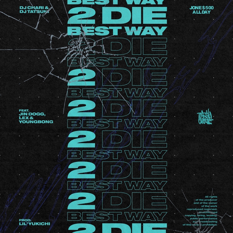 新品未使用WE'LL DIE THIS WAY 12\