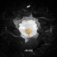 The Nights Felix Jaehn Remix By Avicii トラック 歌詞情報 Awa