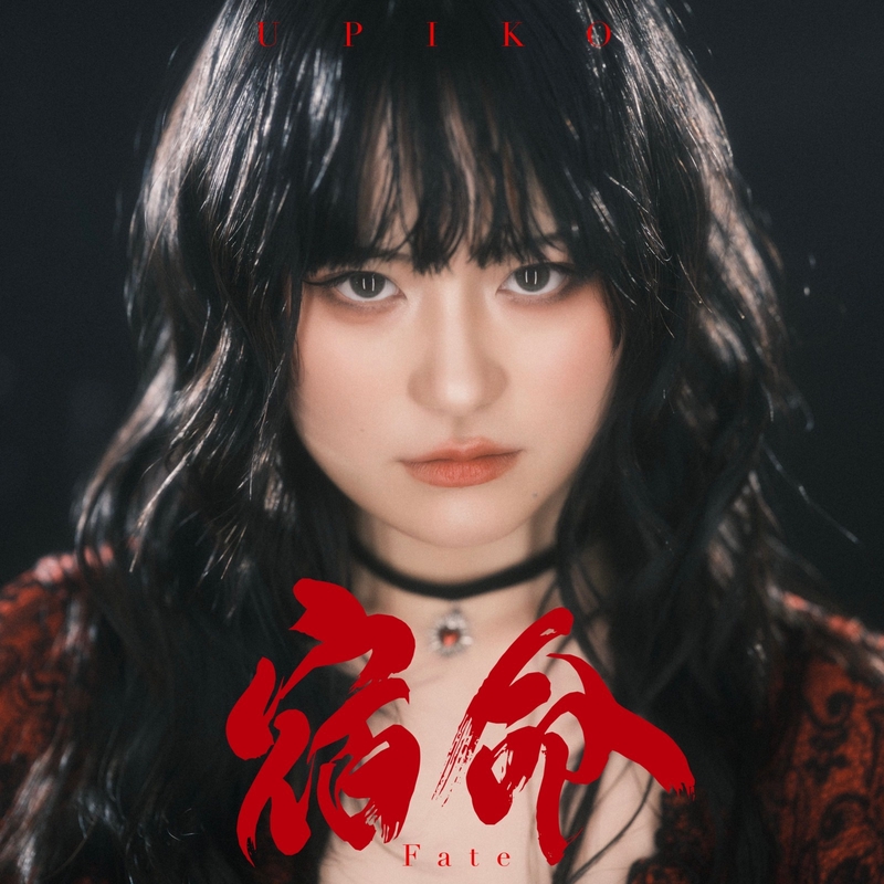 うぴ子 羅針盤 羅針盤 CD DVD アクリルスタンド CDCDレコードTシャツ
