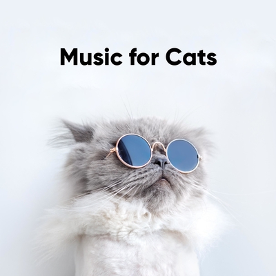 Anti anxiety 2024 cat music