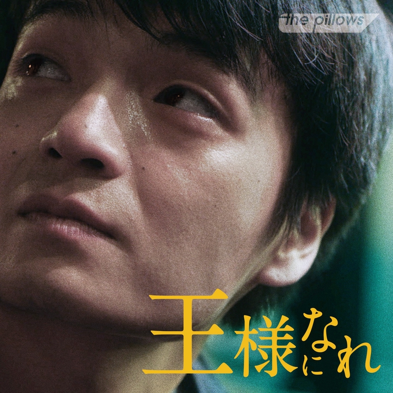 the pillows/どこにもない世界 廃盤 会場限定盤 希少品 the pillows / どこにもない世界 | DELICIOUS LABEL