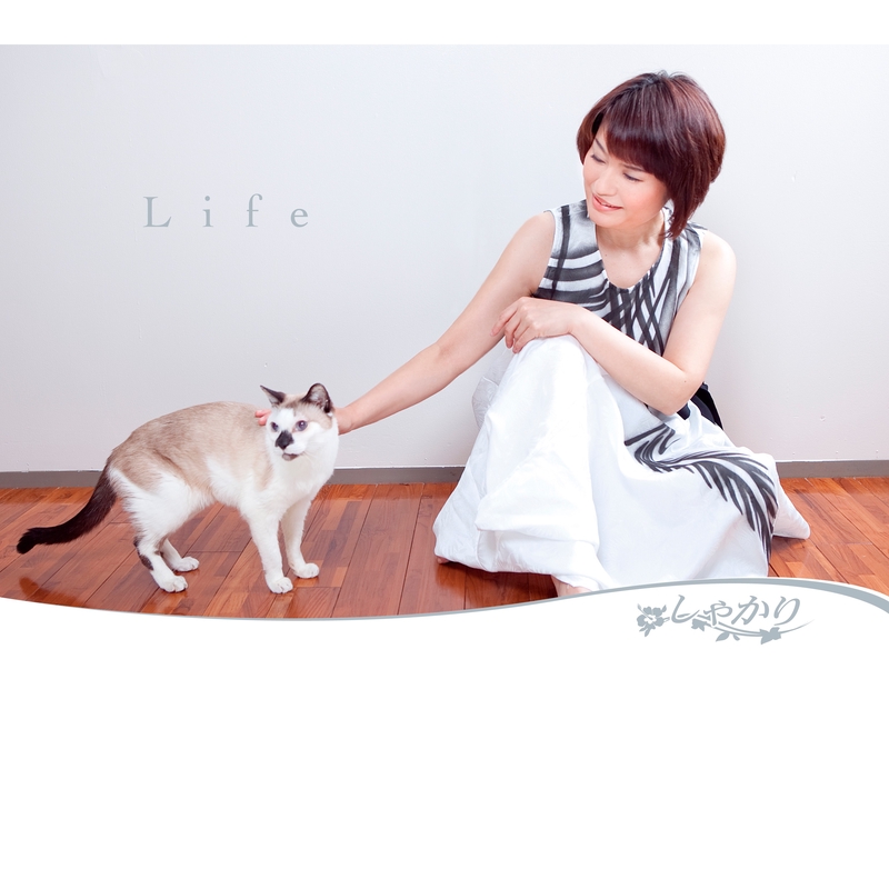 空の風 By しゃかり トラック 歌詞情報 Awa