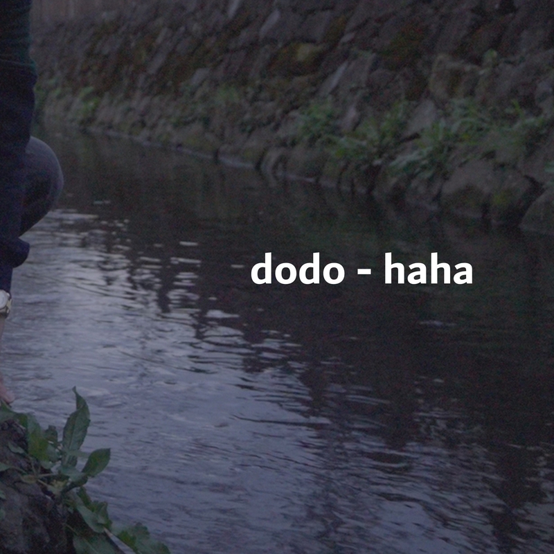 haha” by dodo - トラック・歌詞情報 | AWA