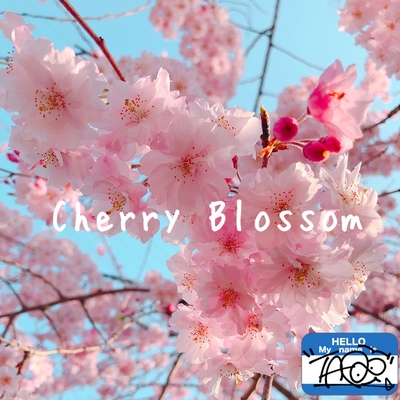 Cherry Blossom By Taro トラック 歌詞情報 Awa