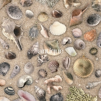 夕立と魚” by おいしくるメロンパン - トラック・歌詞情報 | AWA