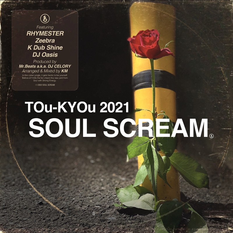 メール便可 2セットまで SOUL SCREAM アナログレコード TOu-KYOu 問う