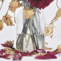 Imazine (feat. MuKuRo, HANG & Disry)” by 唾奇 - トラック・歌詞情報