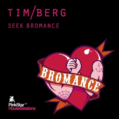 Seek Bromance Avicii Vocal Edit By Tim Berg トラック 歌詞情報 Awa
