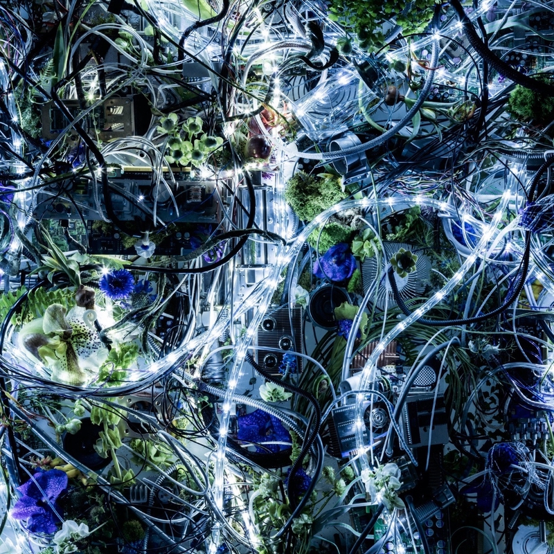 Through My Blood Am By Aimer トラック 歌詞情報 Awa Through My Blood Am By Aimer トラック 歌詞情報 Awa
