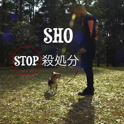 Stop殺処分 By Sho トラック 歌詞情報 Awa