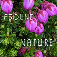 邦楽 ASOUND Feel it ASOUND / Feel it – BASSLINE