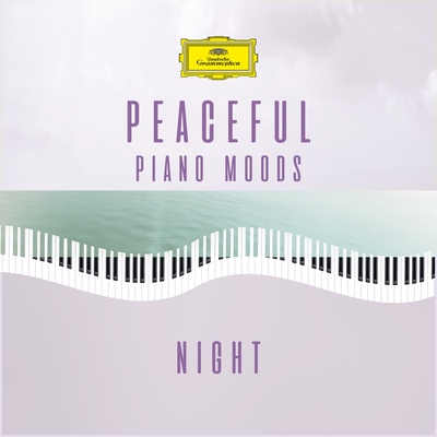 Chopin Nocturne No In C Sharp Minor Op Posth By Maria Joao Pires トラック 歌詞情報 Awa