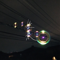 夕立と魚” by おいしくるメロンパン - トラック・歌詞情報 | AWA