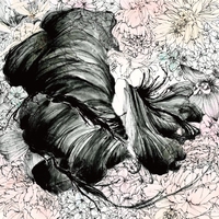 Nyctalopia By Lical トラック 歌詞情報 Awa