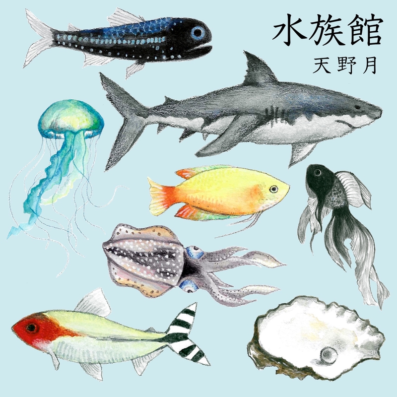 no.160 海底珊瑚　泳ぐスイミー スイミー (aquarium ver.)” by 天野月 - トラック・歌詞情報 | AWA