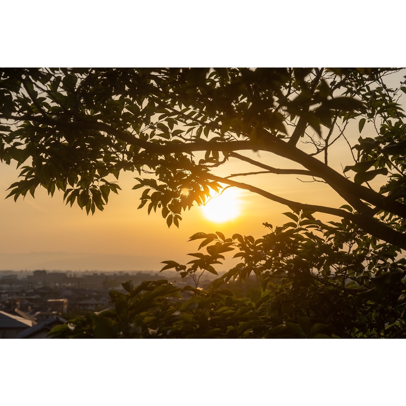 秋の夕暮れ(m4o.from HOIIIPE.)” by HOIIIPE. - トラック・歌詞情報 | AWA