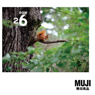 BGM26 Poland - アルバム情報 | AWA