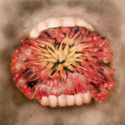 オワリ” by NENE - トラック・歌詞情報 | AWA