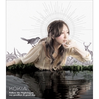 夢の途中 By Kokia トラック 歌詞情報 Awa