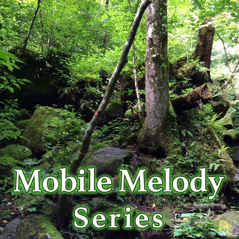 アイデンティティ 酒井ミキオ オリジナル歌手 落第騎士の英雄譚 より By Mobile Melody Series トラック 歌詞情報 Awa