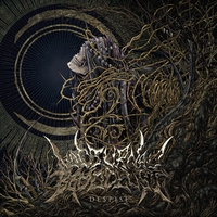 Kingdom” by NOCTURNAL BLOODLUST - トラック・歌詞情報 | AWA