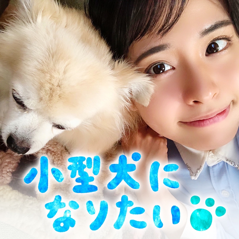 小型犬になりたい By 望木聡子 トラック 歌詞情報 Awa