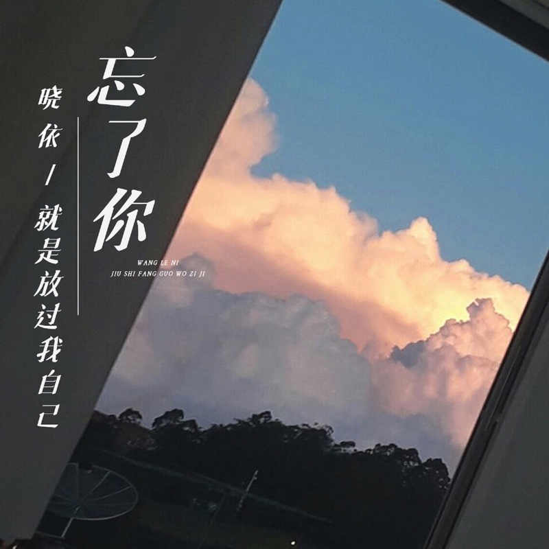 放过 忘了你就是放过我自己” by 晓依 - トラック・歌詞情報 | AWA
