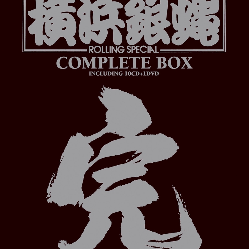 T.C.R横浜銀蝿R.S COMPLETE BOX「完」 コンプリート DVD CD - 邦楽