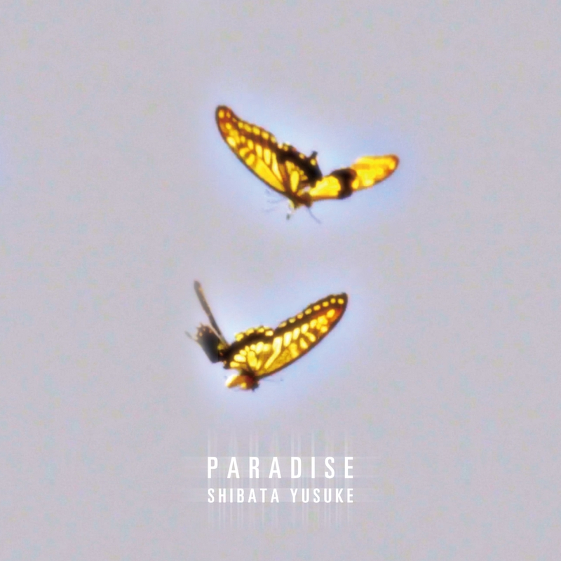 Paradise By Shibata Yusuke トラック 歌詞情報 Awa
