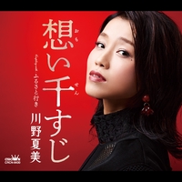 レア B2大 ポスター 演歌　川野夏美 裏窓の猫 Amazon.co.jp: レア B2大 ポスター 演歌 川野夏美 裏窓の猫