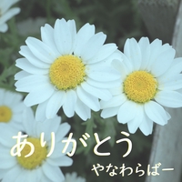 ありの歌 By やなわらばー トラック 歌詞情報 Awa
