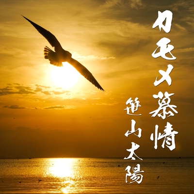 カモメ慕情 By 笹山太陽 トラック 歌詞情報 Awa カモメ慕情 By 笹山太陽 トラック 歌詞情報 Awa