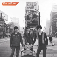□ the pillows ピロウズ 通販限定CD6枚セット Blank/ぼくの