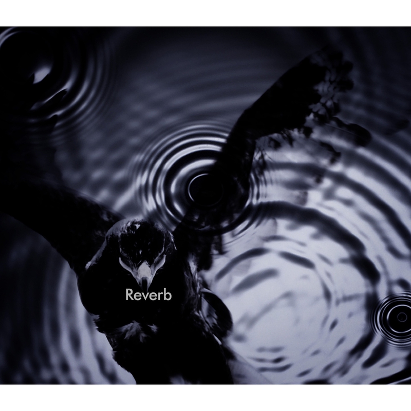 Reverb By 黒夢 トラック 歌詞情報 Awa