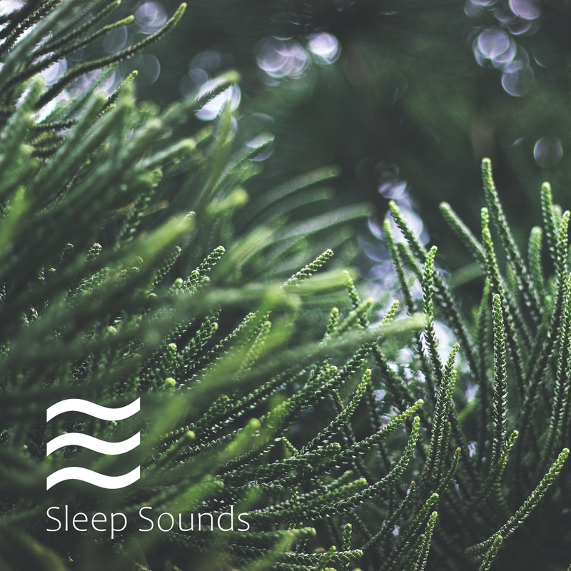 ”Restful Relaxing Rain Noises” by Still Raining - トラック・歌詞情報 | AWA