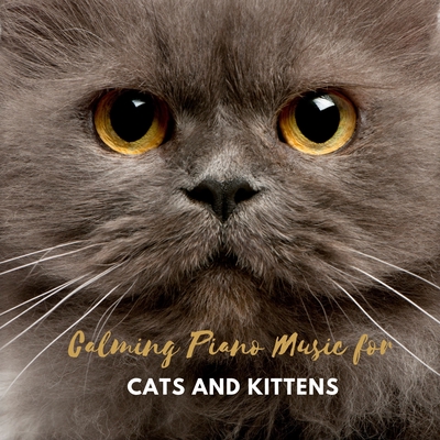 Purrrfect Calmness By Pets Care Club トラック 歌詞情報 Awa