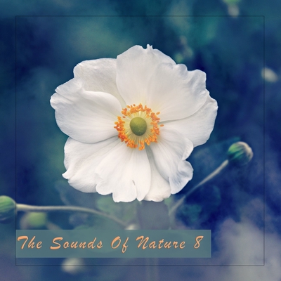 Ice On Dice Water Version By Piano Del Mar トラック 歌詞情報 Awa