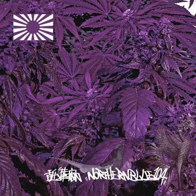 MIYOSHI RUG 舐達磨 TIMELESS CHAIN SMOKE MIYOSHI RUG 舐達磨 TIMELESS CHAIN SMOKE TIMELESS” by 舐達麻