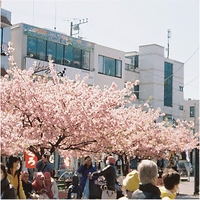 工藤祐次郎 / ねことお化けと台所 Amazon.co.jp: ねことお化けと台所: ミュージック