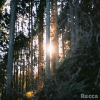 keep in BLUE” by Recca - トラック・歌詞情報 | AWA
